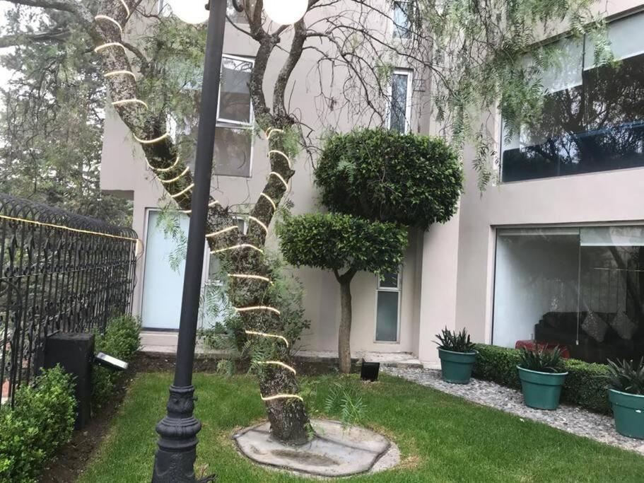 Hermoso Departamento En Bosques De Las Lomas Dos Habitaciones Kota Meksiko Bagian luar foto